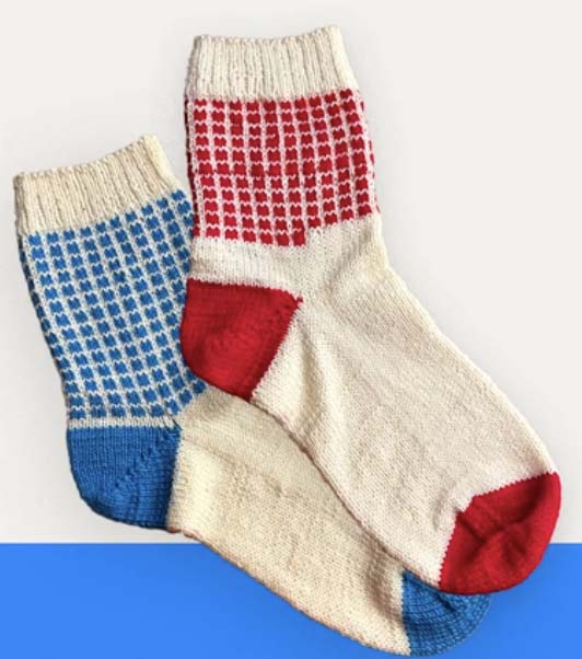 2020 Election Socks