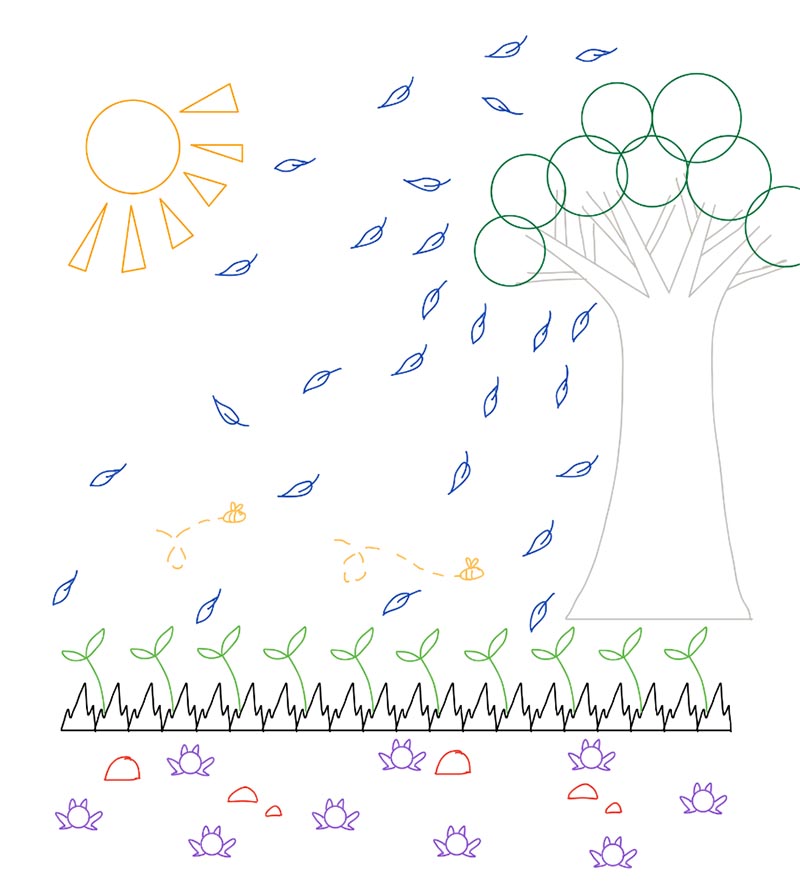 Sketch of a tree and leaves