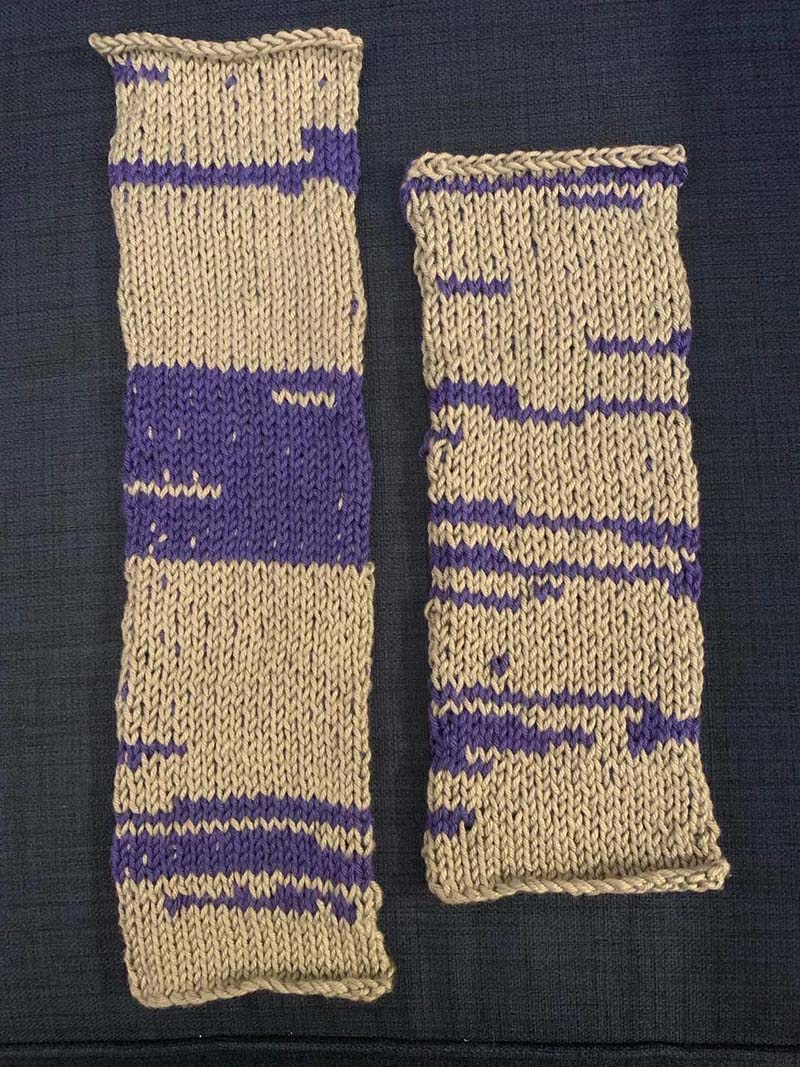 Lockdown Zoom Meetings